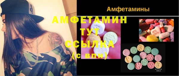 винт Абаза
