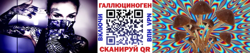 как найти закладки  Новокузнецк  Псилоцибиновые грибы прущие грибы 