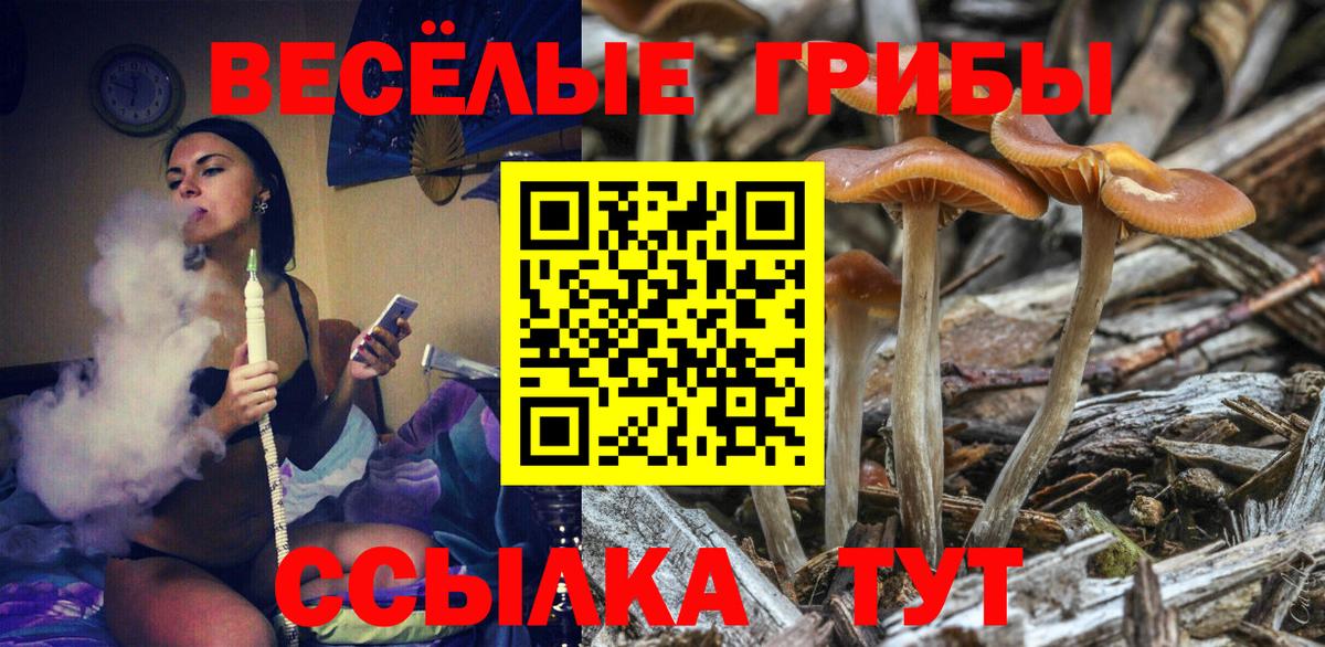 Галлюциногенные грибы ЛСД Новокузнецк