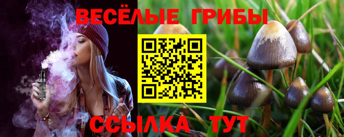 Новокузнецк  наркотики  Вход с VPN  Галлюциногенные грибы мицелий 